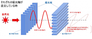 光を遮断する